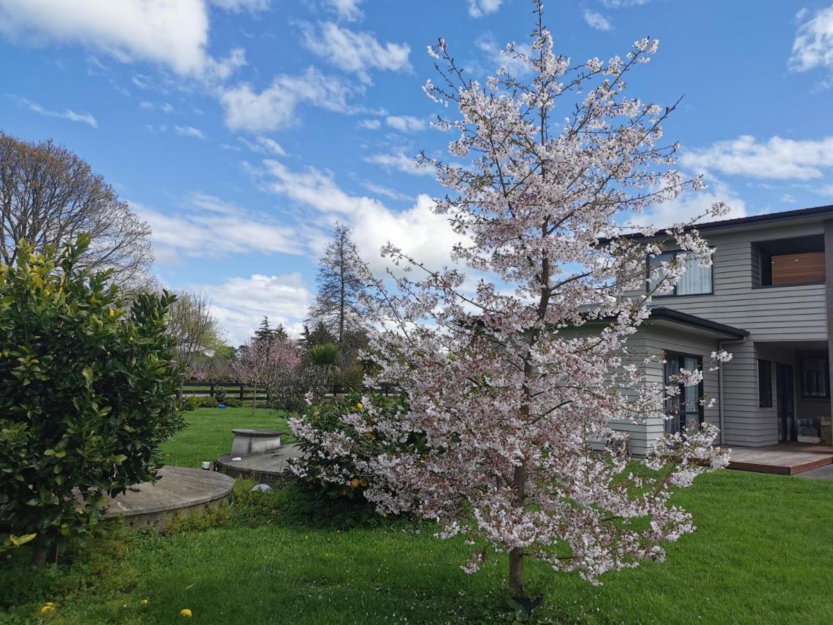 Tamahere Lifestyle Exterior photo